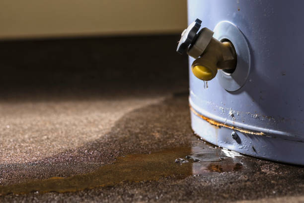 Best Water damage restoration mold remediation  in Pocahontas, IA