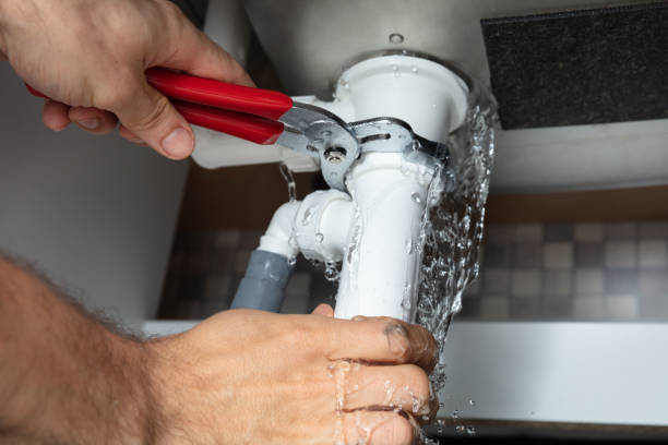 Best Sewage cleanup and water damage restoration  in Pocahontas, IA