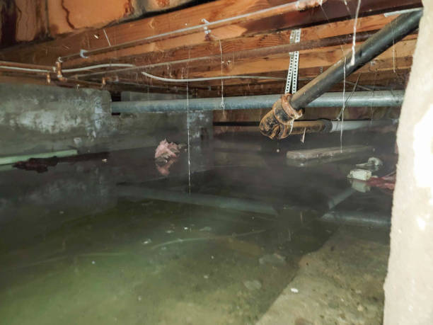 Sewage cleanup and water damage restoration in IA