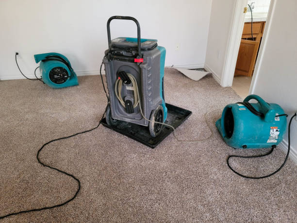 Best Water damage contractors near me  in Pocahontas, IA