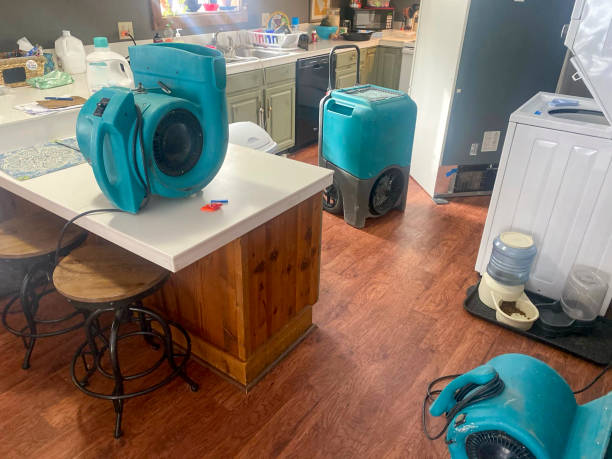 Best Basement water damage restoration  in Pocahontas, IA