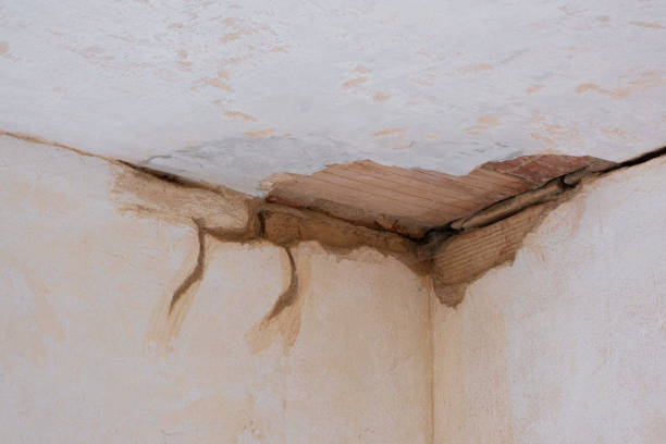 Carpet water damage restoration in IA