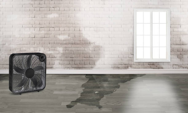 Best 24-hour water damage restoration  in Pocahontas, IA