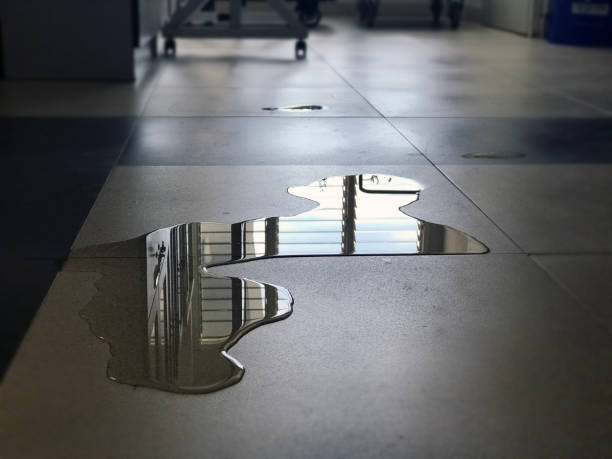 Best Water damage restoration company  in Pocahontas, IA