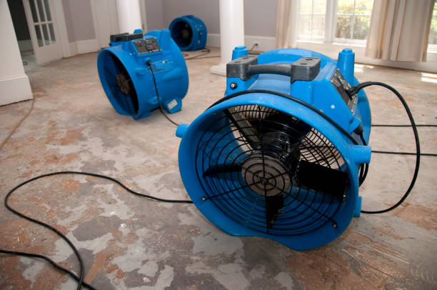 Best Flood damage cleanup  in Pocahontas, IA