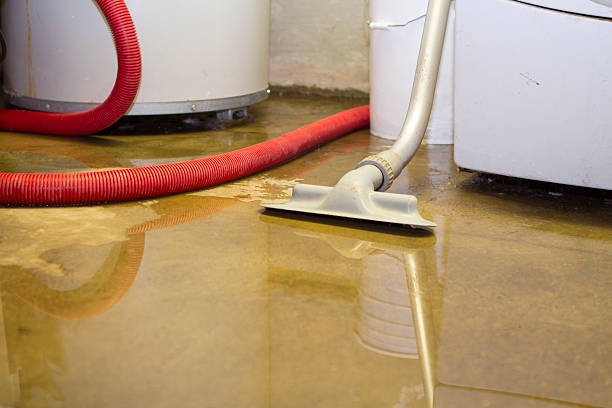 Best Residential water damage restoration  in Pocahontas, IA