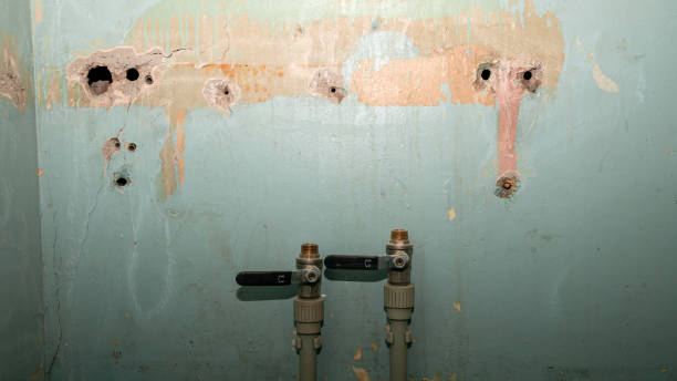 Best Water damage restoration cost  in Pocahontas, IA