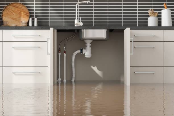 Best Professional water damage repair  in Pocahontas, IA
