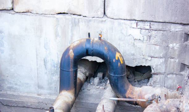 Best Flood damage cleanup  in Pocahontas, IA