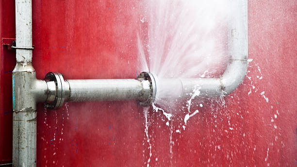 Best Flood restoration services  in Pocahontas, IA